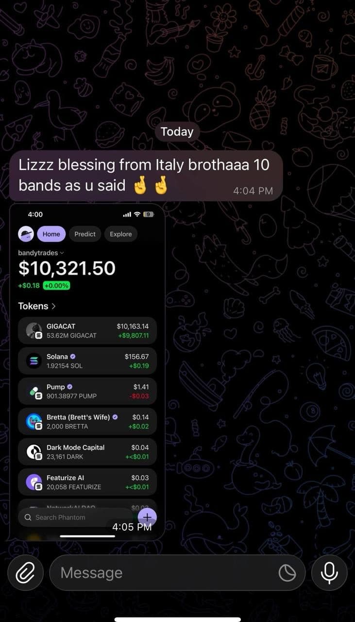 Community member screenshot reporting portfolio gains from following $LIZZY